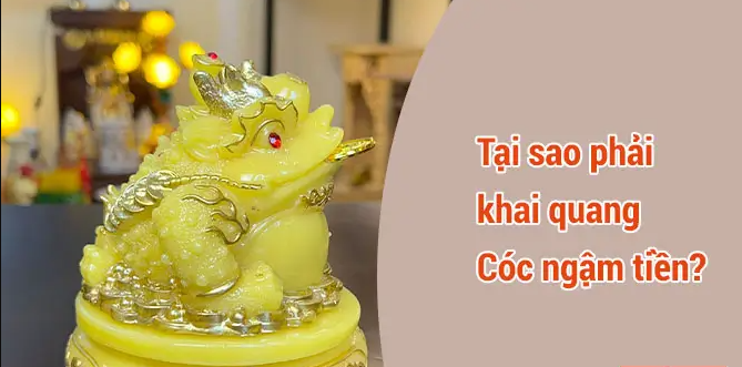 Lựa chọn không gian và thực hiện khai quang cóc.png